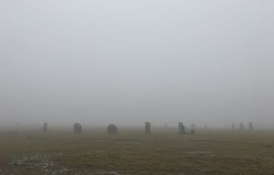 Scenic view of field against sky during winter