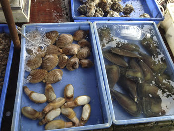 High angle view of food for sale