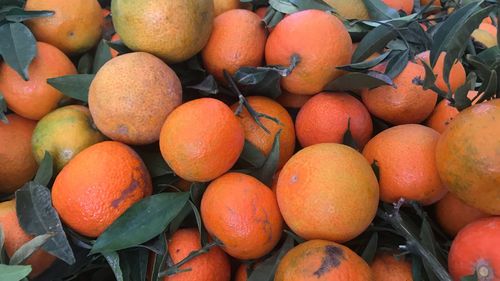 Full frame shot of oranges at market