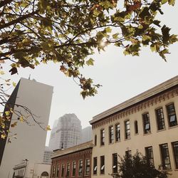 Low angle view of buildings