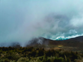 Scenic view of landscape against sky