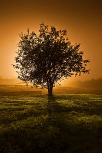 Scenic view of grassy field against sky at sunset