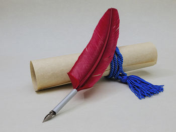 High angle view of colored pencils on table against white background