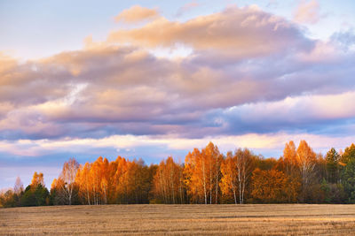 Trees on field against sky during autumn