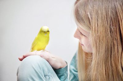 Girl holding budgerigar