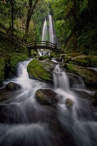 Scenic view of waterfall in forest