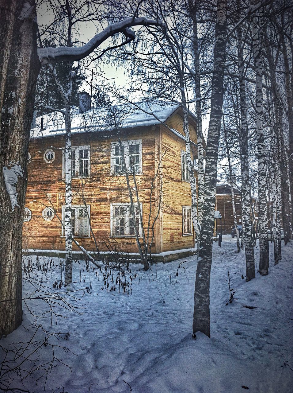 architecture, building exterior, built structure, bare tree, tree, house, branch, residential building, residential structure, window, old, snow, building, day, cold temperature, winter, outdoors, street, no people, abandoned