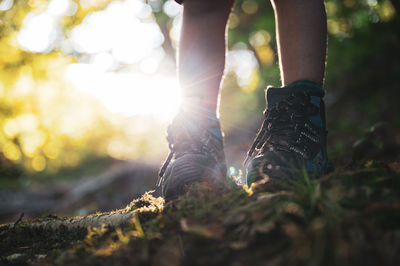 Low section of person standing on land