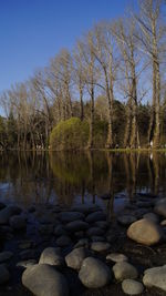 Reflection of bare trees in lake against sky