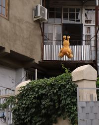 Low angle view of stuffed toy hanging by building