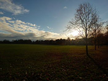 Scenic view of field against sky at sunset