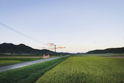 Scenic view of field against clear sky