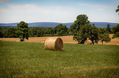 Hay bales on field against sky