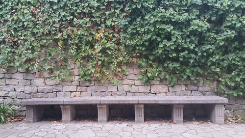 Plants against brick wall
