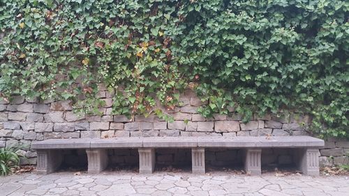 Plants against brick wall