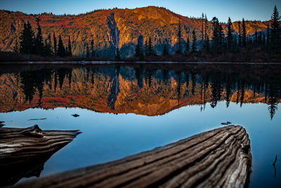 Reflection of trees in lake against sky