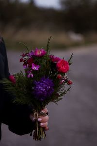Close-up of hand holding purple flowering plant