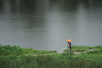 A rainy day of rural west bengal.raining throughout the day.