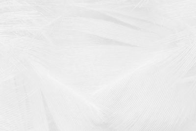 Beautiful white feather wooly pattern texture background