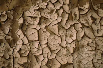 Full frame shot of cracked field