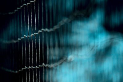 Close-up of metal fence