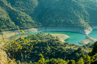 High angle view of trees by sea