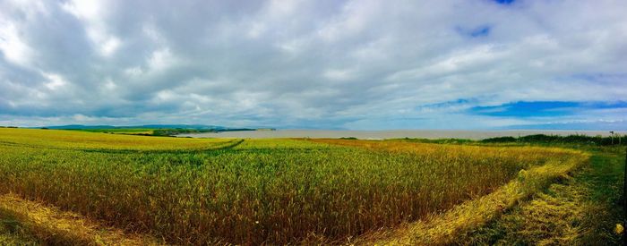 Scenic view of field against cloudy sky