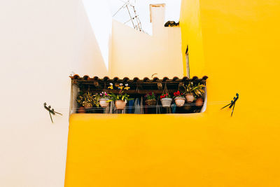 Old residential building with hanging potted flowers 