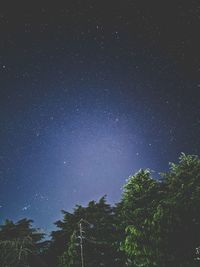 Low angle view of trees against sky at night