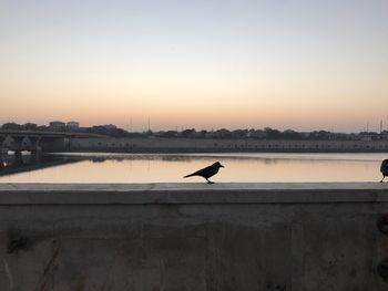 Silhouette bird perching on bridge over lake against clear sky