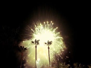 Low angle view of firework display