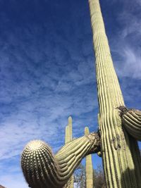 Low angle view of blue sky