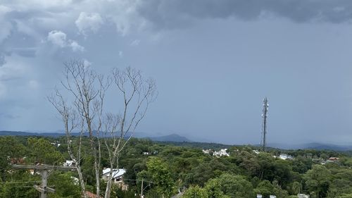 Plants growing on land against sky