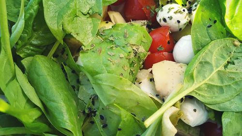 Full frame shot of vegetables