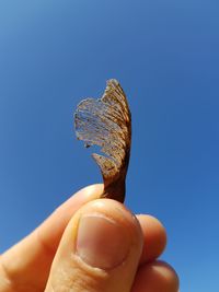 Close-up of hand holding umbrella against clear blue sky