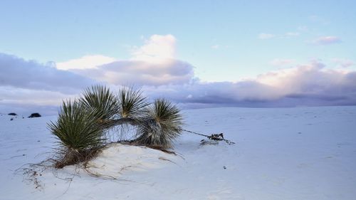 Scenic view of sea against sky during winter