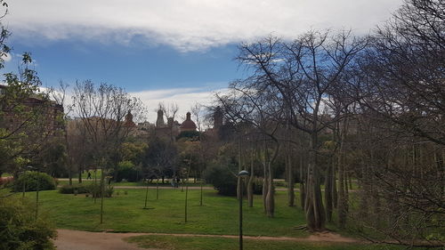 Trees in park against sky