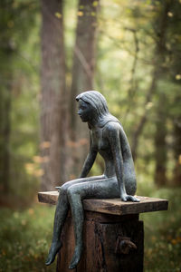 Close-up of statue against trees in forest