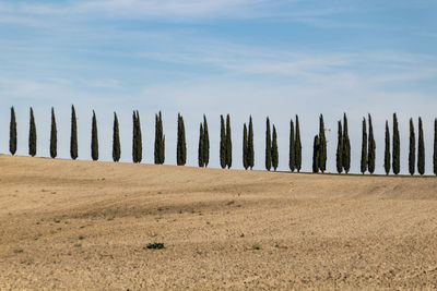 Wooden fence on field against sky