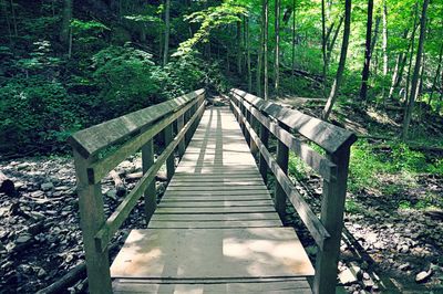 Footbridge in forest