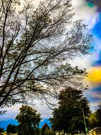 Low angle view of silhouette tree against sky