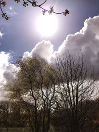 Low angle view of bare trees against sky