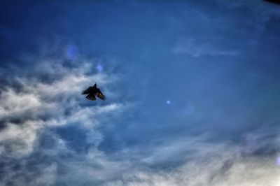 Low angle view of silhouette bird flying in sky