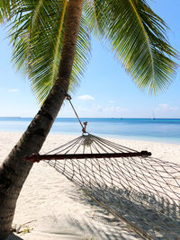 Palm tree hammock by sea on tropical island