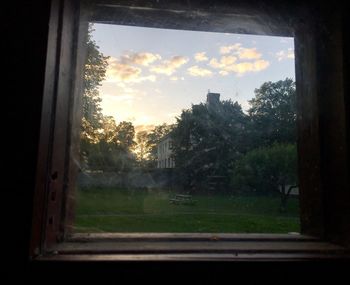 Trees seen through window