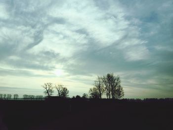 Low angle view of silhouette trees against sky