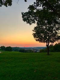 Scenic view of grassy field against sky during sunset