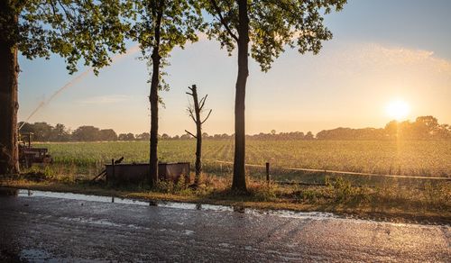 Scenic view of field against sky during sunset