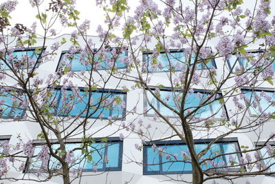 Low angle view of building against cloudy sky