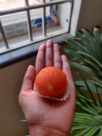 Close-up of hand holding apple